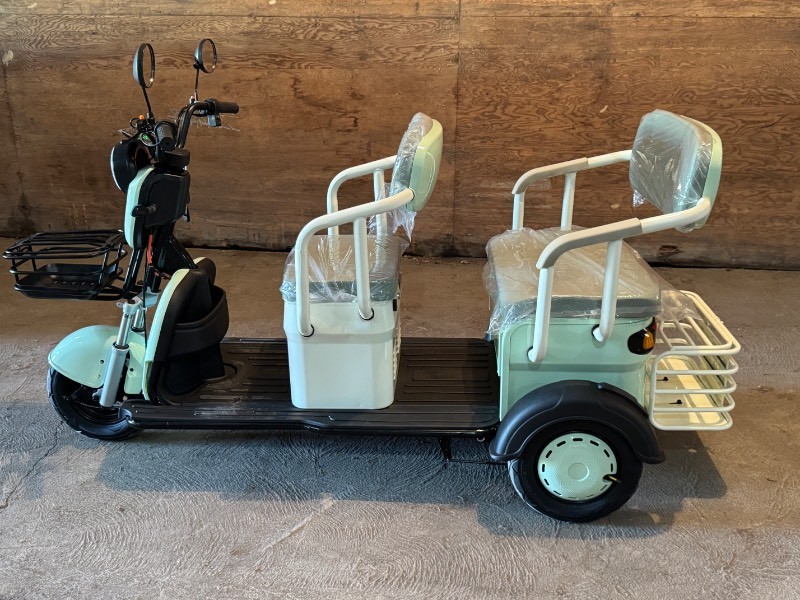 2026 SDLANCH Electric Tricycle Mini Golf Cart (IRGC40) - Green