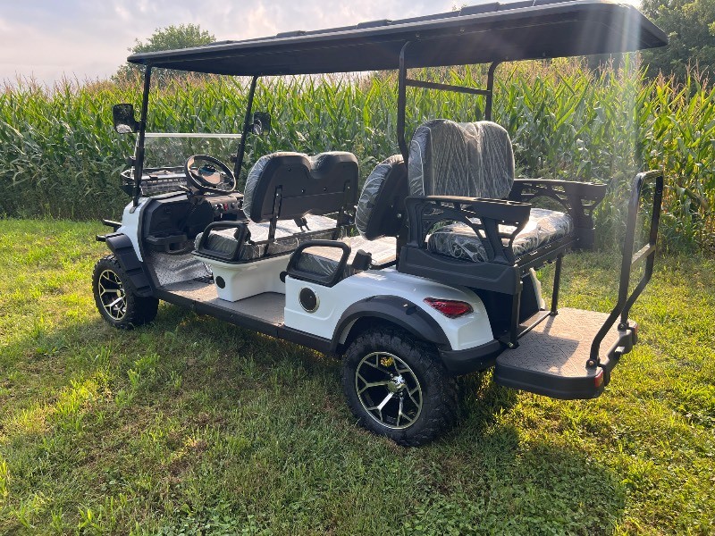 2026 FUTURE Off-Road Golf Cart (FT-GC42S), White  - ASSEMBLED