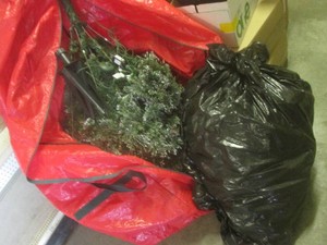 (RM4) Large Christmas Tree with Lig...