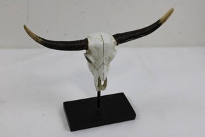 Decorative Longhorn Skull on Stand