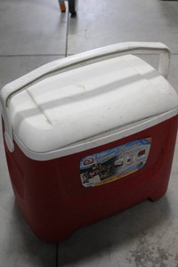 Igloo Island Breeze 28-Qt Cooler
