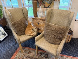Set of (2) Upholstered Chairs