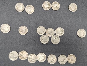 Collection of 20 Buffalo Nickels/indian Head Nickels