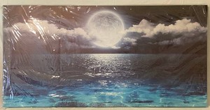 NEW Moon Over Ocean Seascape Canvas Print