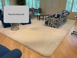 Dupont certified stain master carpetarea rug