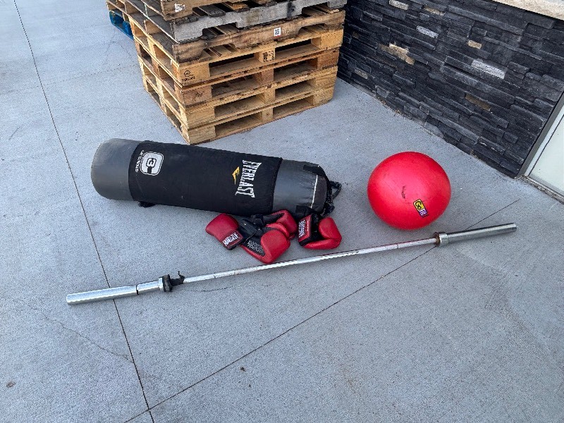 Punching Bag, Gloves, Gym Ball, Weight Bar(Cracked)