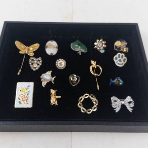 Costume Brooch and Pin Assortment