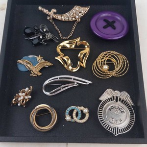 Costume Brooch & Pin Mixed Lot