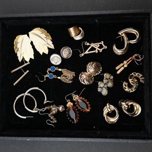 Assorted Fashion Earrings Mixed Lot