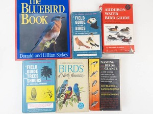 Bird Field Guide Books (Lot of 6)