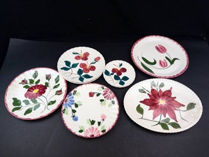 Blue Ridge Hand Painted Floral Plates (Lot of 8)