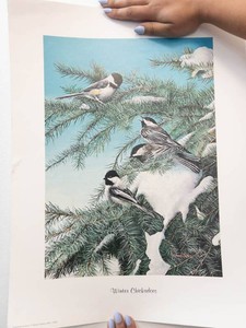 Vintage Winter Chickadees Print by Kevin T. Daniel
