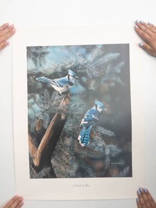 Kevin T. Daniel Touch of Blue Art Print
