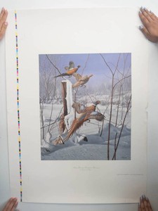 David Maass Misty Morning Rendezvous Pheasants Print