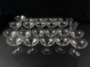 Etched Stemmed Glassware Set (Lot of 23)