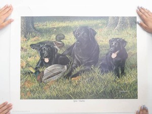 Kevin Daniels Gettin Familiar Dog Print 1979