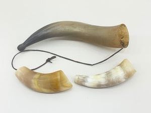 Lot of 3 Authentic Bovine Horns