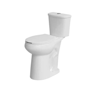High Toilet 2-piece 0.81.28GPF Dual Flush Elongated 21 in. Toilet, in White Map Flush 1000g with Soft-Close Seat