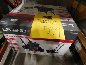 46 cc Gas Powered 4-Stroke Walk Behind Edger