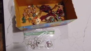 Assorted Pins and Rings