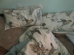 King size comforter, pillows and be...