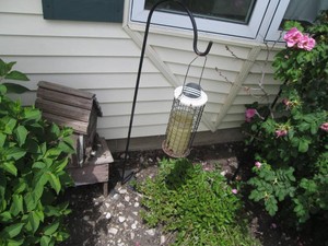 Shepherds hook, wood birdhouse, sto...
