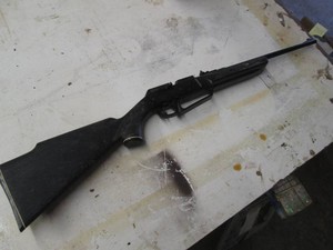 Daily shotgun style pump action .17...