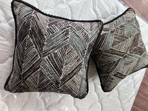 2 New THROWPILLOWS