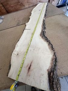 Big ol piece of BOXELDER with cut in it