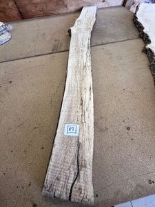 5 ft SPALTED MAPLE