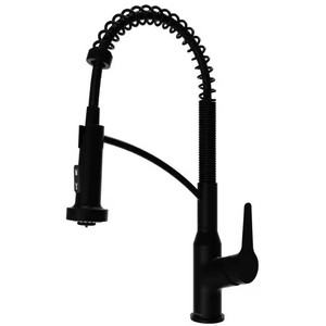 Scottsdale Matte Black Pull-Down Faucet
