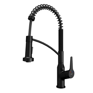 Scottsdale Matte Black Kitchen Faucet