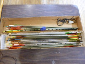 22 Assorted Arrows
