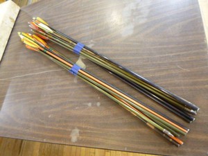 20 Assorted Arrows