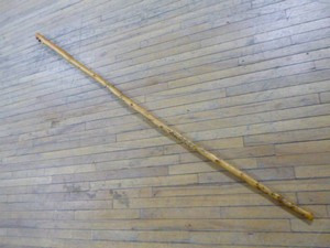 Walking Stick