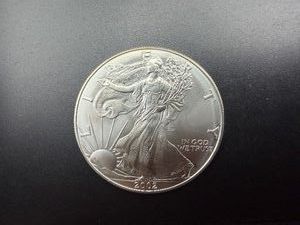 2002 Beautiful Uncirculated 1 Oz. Silver American Eagle