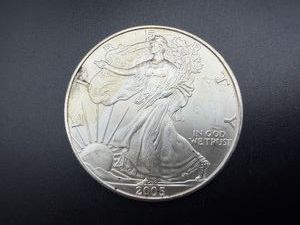 2005 Uncirculated 1 Oz. Silver American Eagle