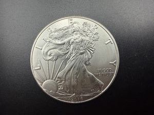 2016 Beautiful Toned Uncirculated 1 Oz. Silver American Eagle