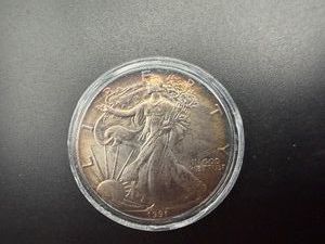 1991 Toned Uncirculated 1 Oz. Silver American Eagle