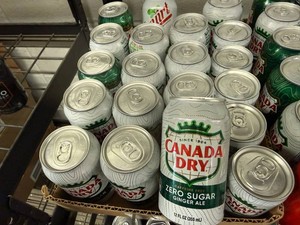 Canada Dry Zero & other Varieties of Pop