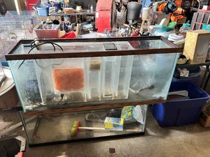 Large Fish Tank and Accessories including Air Pump, Decorative Rocks, and Miscellaneous Supplies