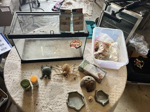 Hermit Crab Terrarium Setup including Tank, Food, Coconut Bedding, and Accessories