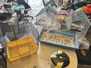 Bird Cages and Container with Rocks
