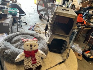 Pet Carriers with Plush Bed and Holiday Owl Decoration