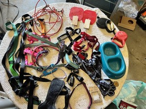 Various pet accessories including leashes, harnesses, and training tools, with dog-related supplies such as pee pads