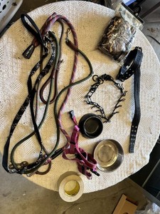 Dog care items including pet carrier, leashes, collars, bowls, and booties