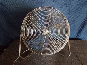 Fan
