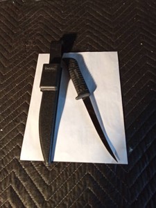 Berkley Fillet knife with case