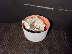 large planter of landscaping white rocks