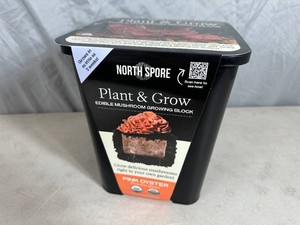 New North Spore Plant and Grow Edible Mushroom Growing Block - Pink Oyster